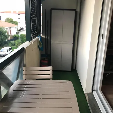 Wild Swan Rock Apartment Anglet